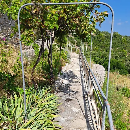 Defora Holiday home Zrnovo